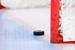 Hockey net and puck